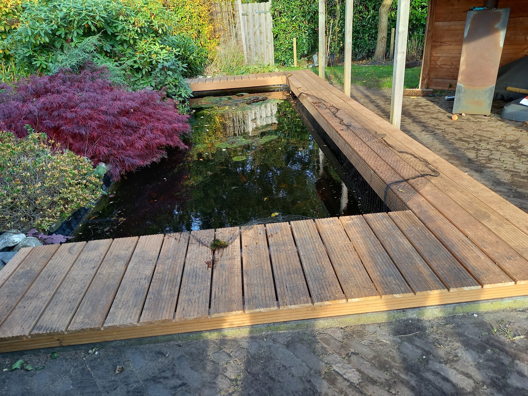 Hardhouten vlonder over een tuinvijver met Japanse esdoorn