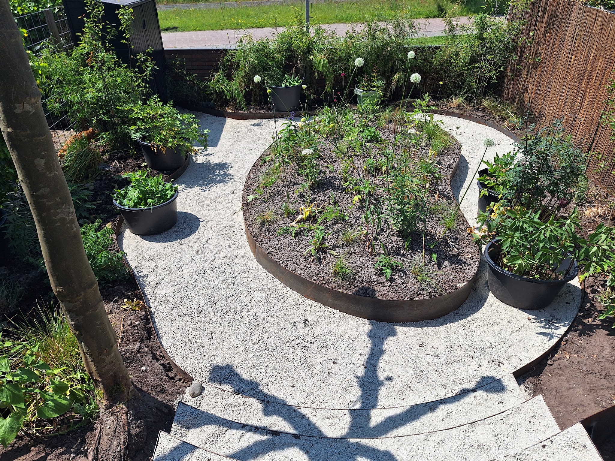 Grindpad rond een plantvak met stalen rand en jonge beplanting