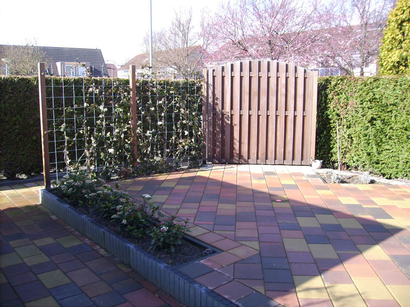 Gekleurde bestrating met tuinpoort en leibomenscherm