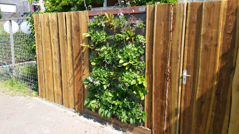 Verti-plant paneel in een houten schutting